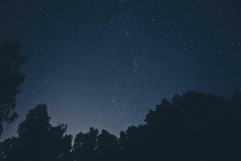 The Ultimate Guide to Career & Hustle