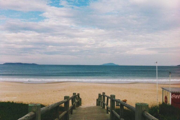 The Ultimate Guide to Mindset & Focus