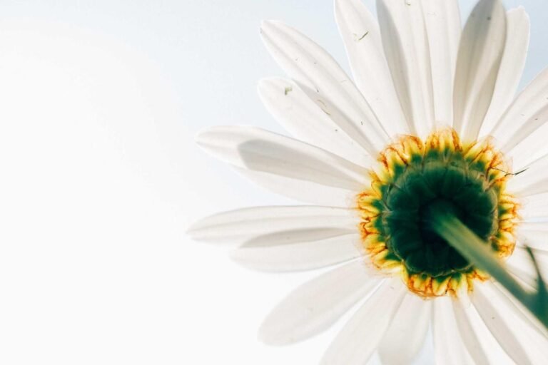 The Zeigarnik Effect: How to Clear Your Cognitive Backlog